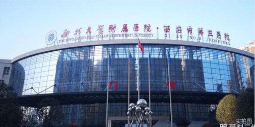 西安招商林嶼縵島 多維解析，揭秘主城宜居新標(biāo)桿